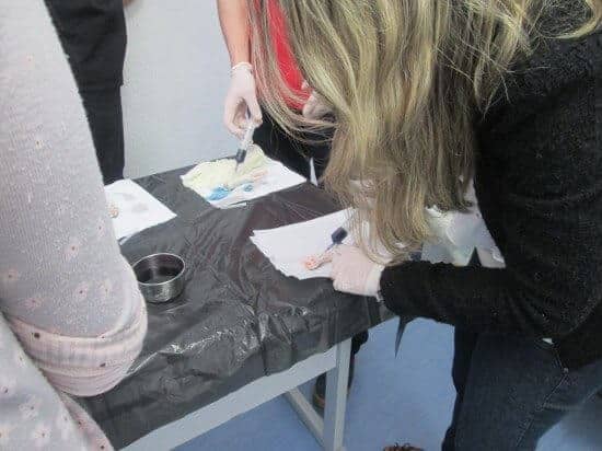 Foto Curso ATLS